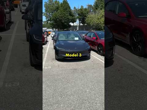Why Do Teslas Get So Much Hate?