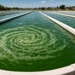 Cyanobacterial Exopolysaccharide Boom: Unlocking 10x Yield Gains by 2025–2028